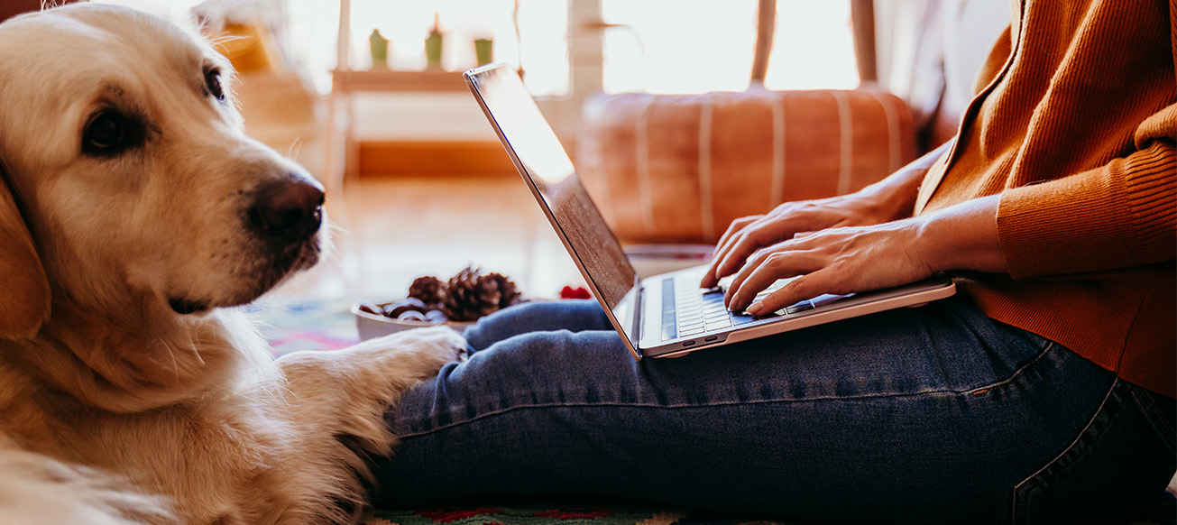 A young woman is working on a laptop at home with her cute golden retriever dog beside her, enjoying a healthy breakfast during her technology and lifestyle indoors time; Broward County Pet Trust Lawyer concept image