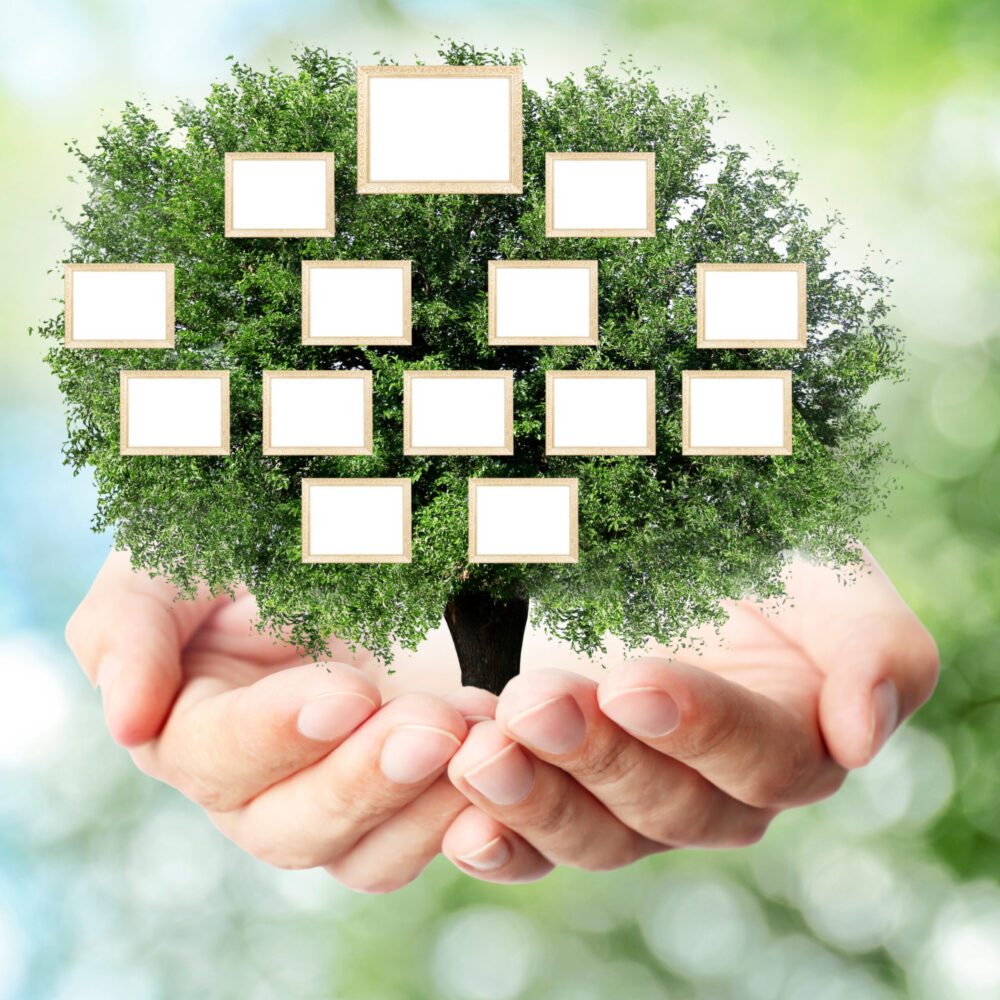 hands family tree